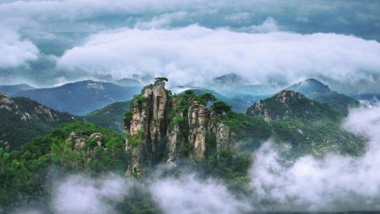 孙继业：沂蒙之花