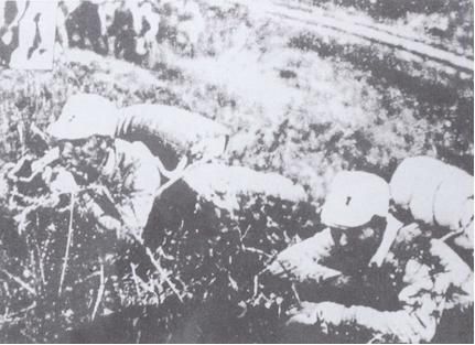 孙继业：沂蒙之花