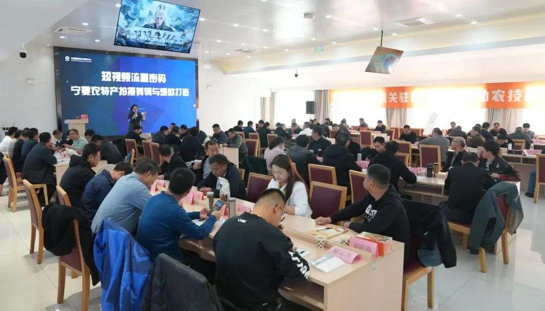 宁夏多部门联合举办区直机关驻村干部电商助农技能培训班