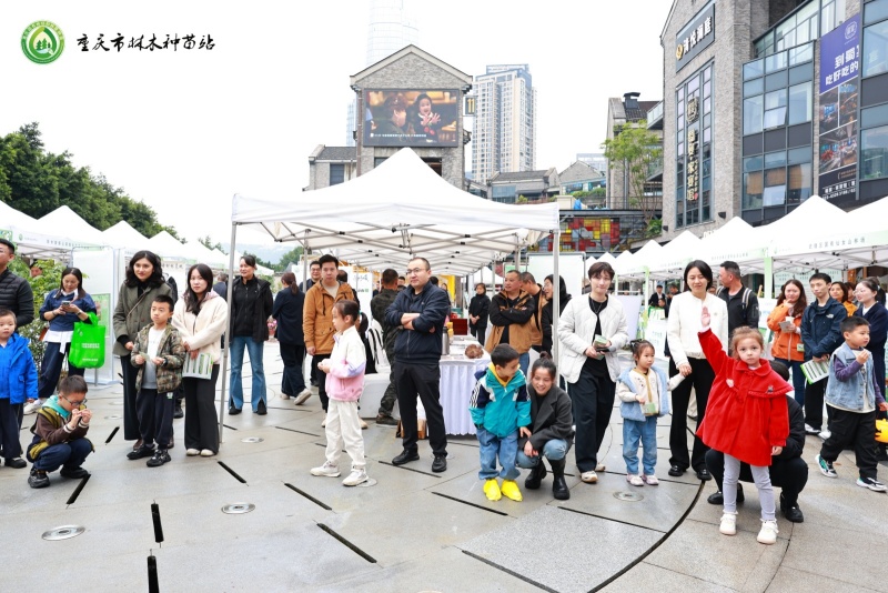 重庆林木良种使用率达75% 林下经济多点开花