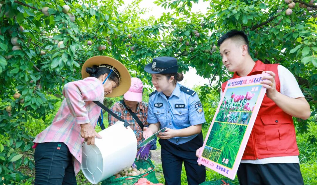 【阳光下的守护】乡里乡音接地气,最“讨喜” 【阳光下的守护】乡里乡音接地气,最“讨喜”