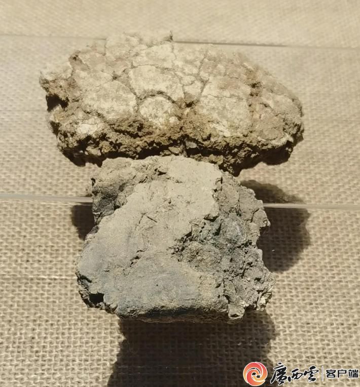 三年一届！古陶瓷科技国际研讨绽放万年陶蕴