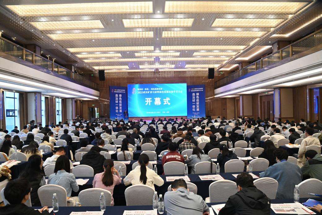 2025武汉矿冶与材料绿色低碳发展学术大会举行