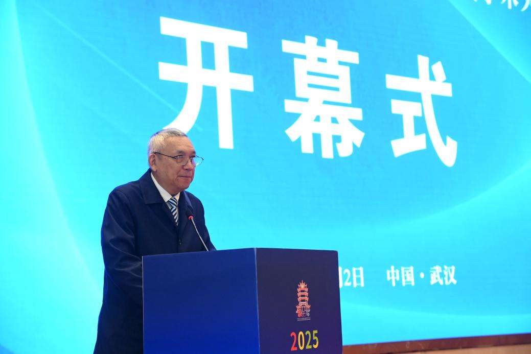 2025武汉矿冶与材料绿色低碳发展学术大会举行