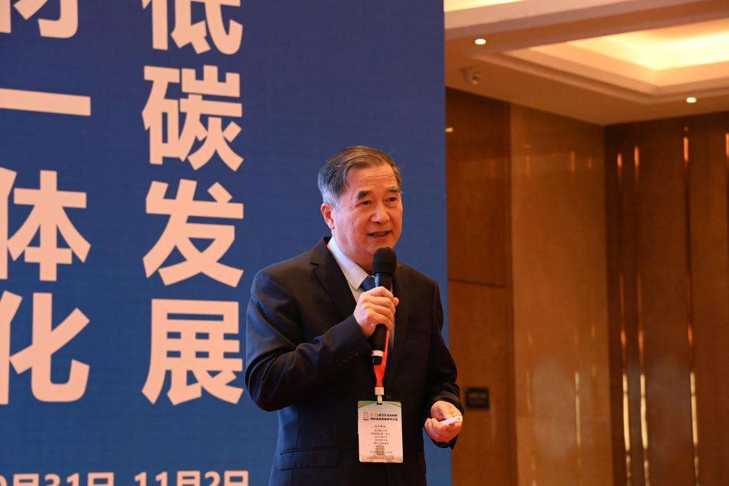 2025武汉矿冶与材料绿色低碳发展学术大会举行