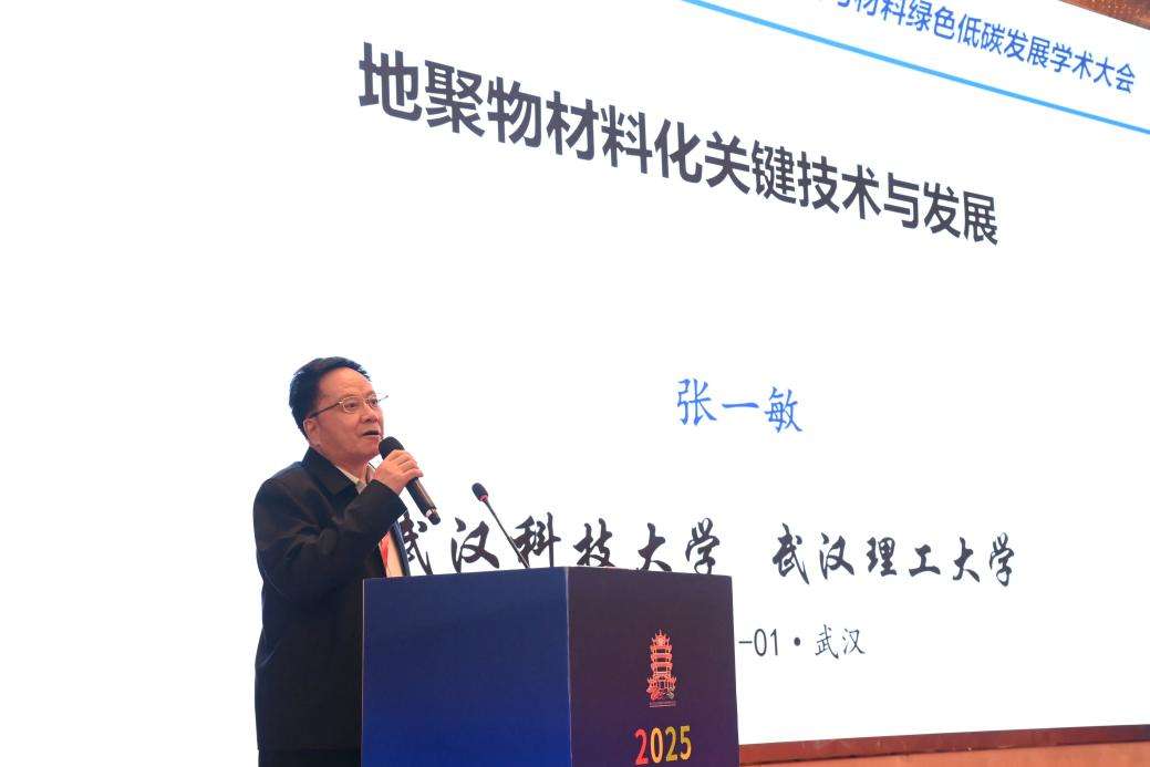 2025武汉矿冶与材料绿色低碳发展学术大会举行