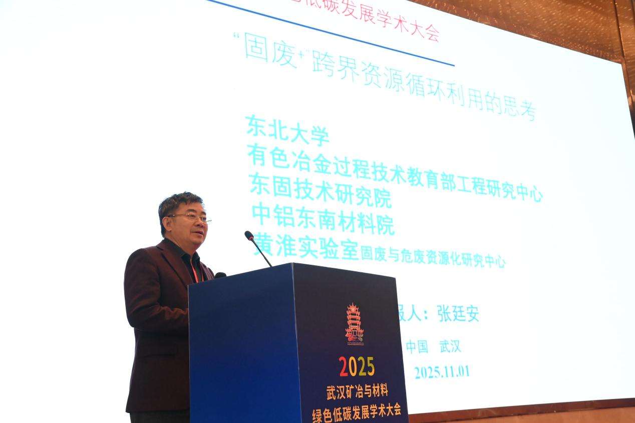 2025武汉矿冶与材料绿色低碳发展学术大会举行