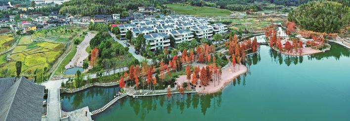 融通两岸 相聚三明——三明市积极探索海峡两岸乡村融合发展新路