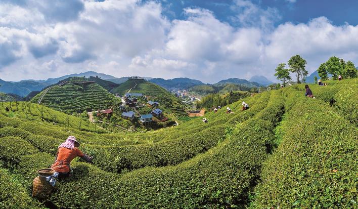 融通两岸 相聚三明——三明市积极探索海峡两岸乡村融合发展新路