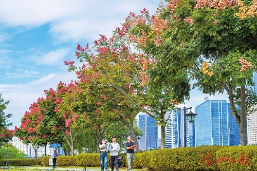 天蓝树绿满城香