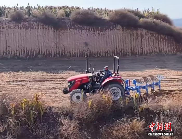 山西柳林：机械化抢收秋粮 产业链赋能增收