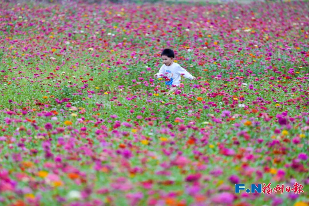 美得像春天！被福州的“蓝绿”治愈了！