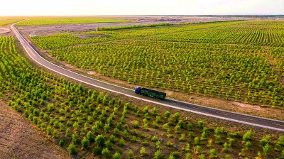 风沙线上，写下青绿诗行