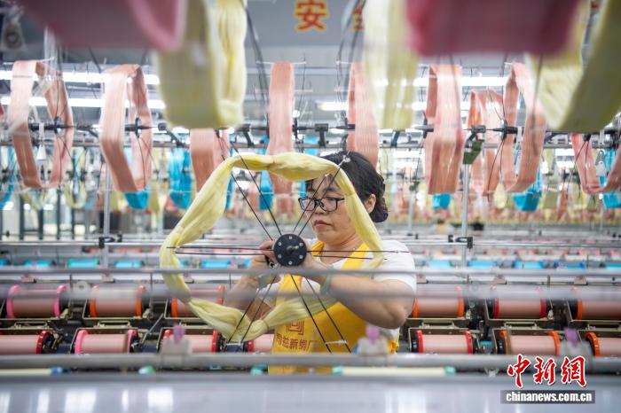 海外媒体人探访“桑蚕之乡” 了解桑蚕产业变迁