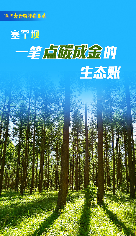 一笔点“碳”成“金”的生态账
