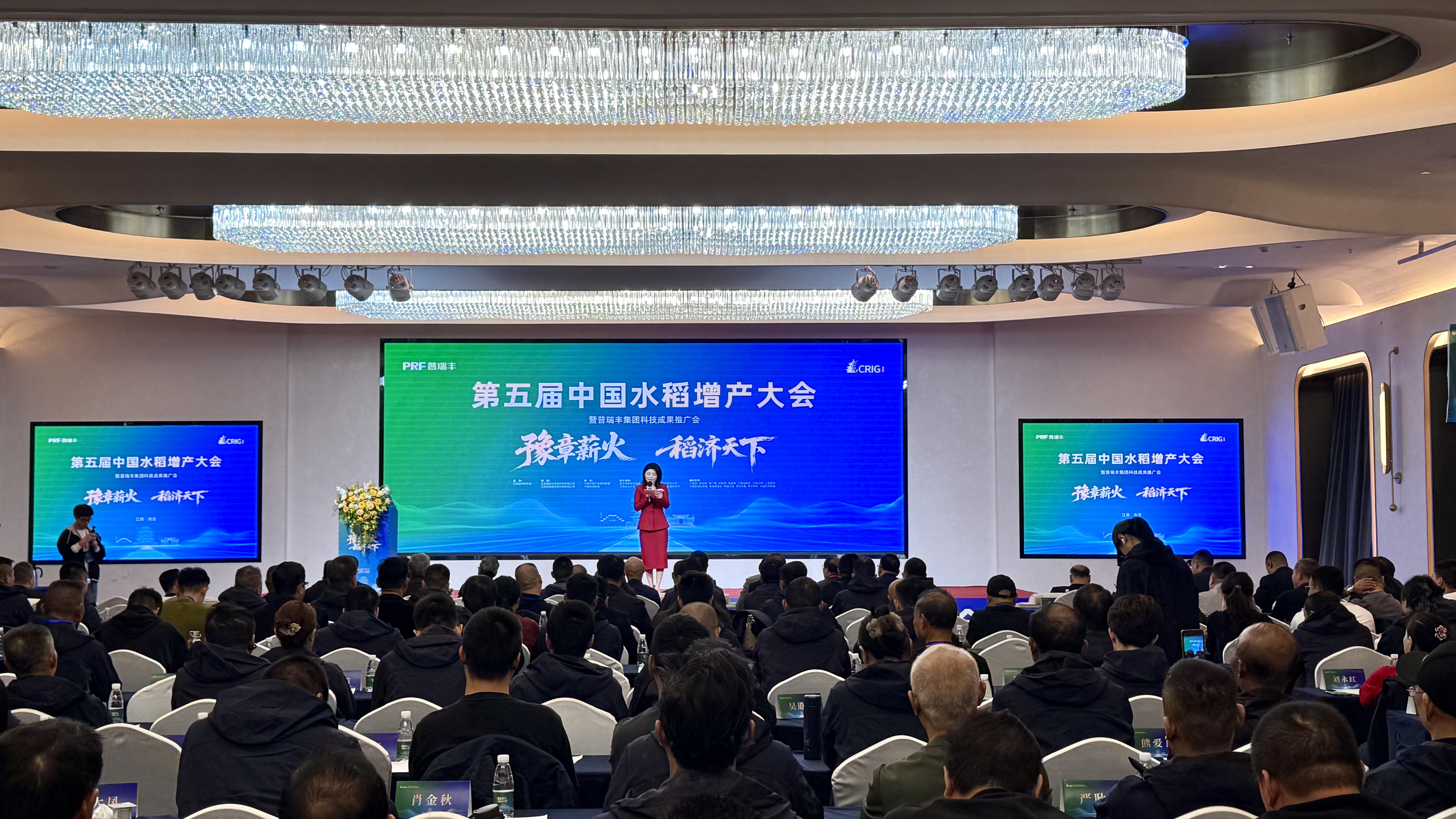 全国“大咖”齐聚南昌共话水稻增产之道 全国“大咖”齐聚南昌共话水稻增产之道