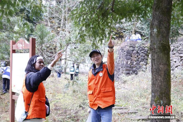 “洋学徒”深山辨百草:让世界读懂“本草密码”