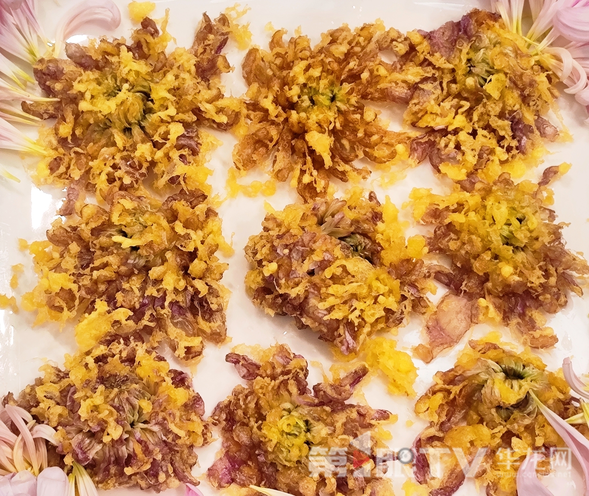 组图 | 重庆“可食菊花”来了 重塑花卉产业“可观可品”新形态
