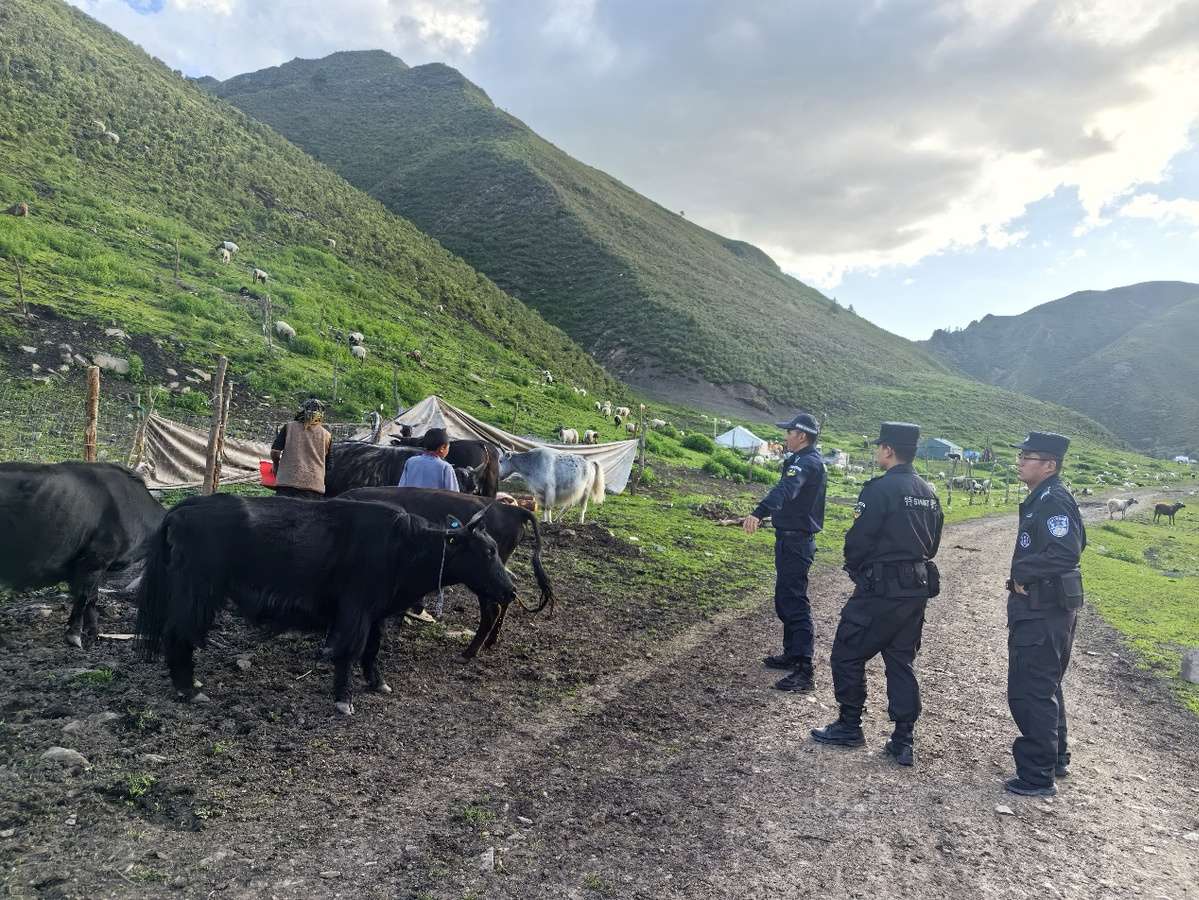 坚守4000米高原,他们当好“云端守护者” 坚守4000米高原,他们当好“云端守护者”