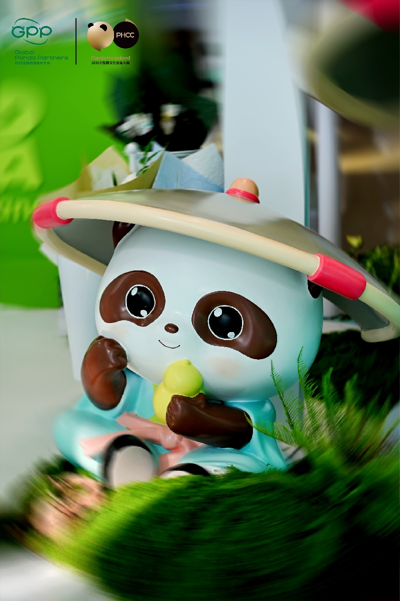 文化观察｜成都与熊猫，在“文创宇宙”中双向奔赴