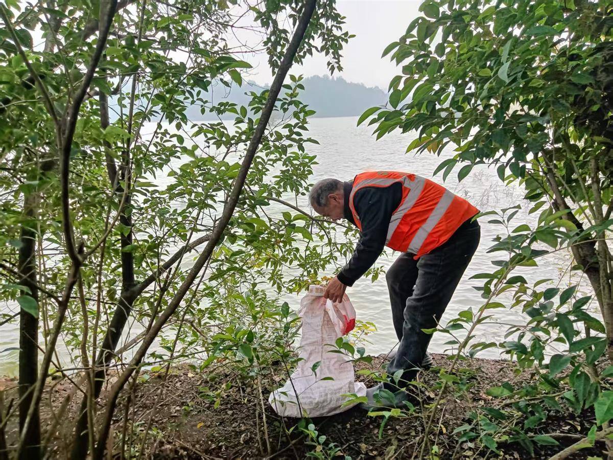 林海间的“红色守护” 丹江口安乐河林场护水护林