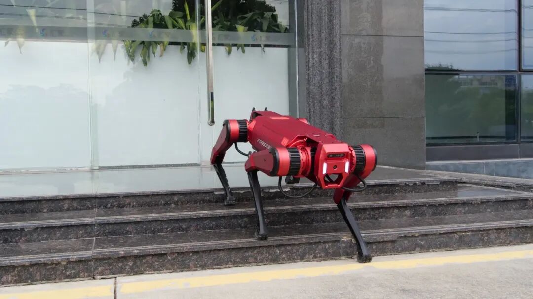 宝安万众瞩目!TA们,闪耀绽放!