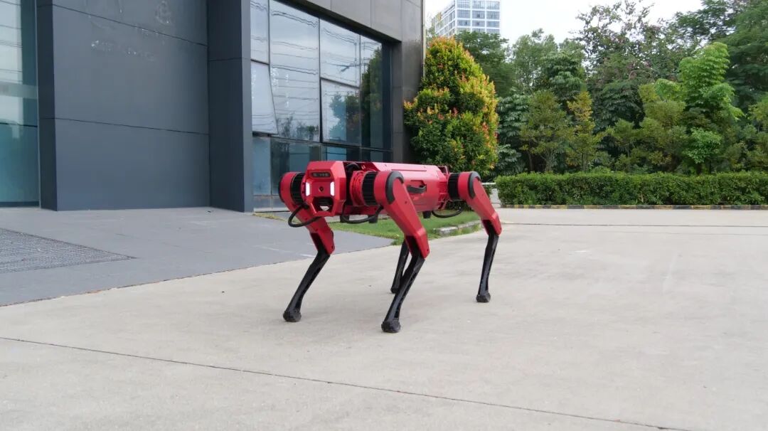 宝安万众瞩目!TA们,闪耀绽放!