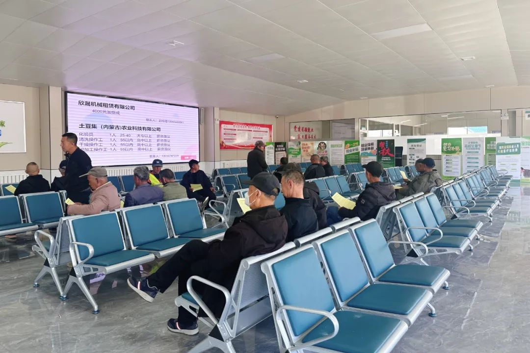 落实“六个行动” | 集宁区:小岗位托举大民生 实举措激活就业力 图片