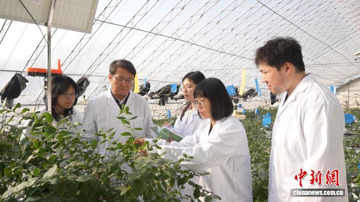 沈阳农大自主研发浆果产品受热捧 “科技味”成就校园“抢手货”