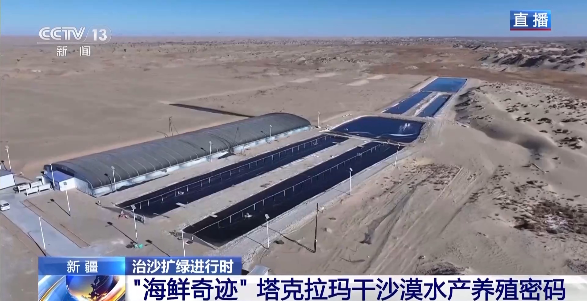 沙漠里如何养海鲜？塔克拉玛干沙漠的水产养殖密码