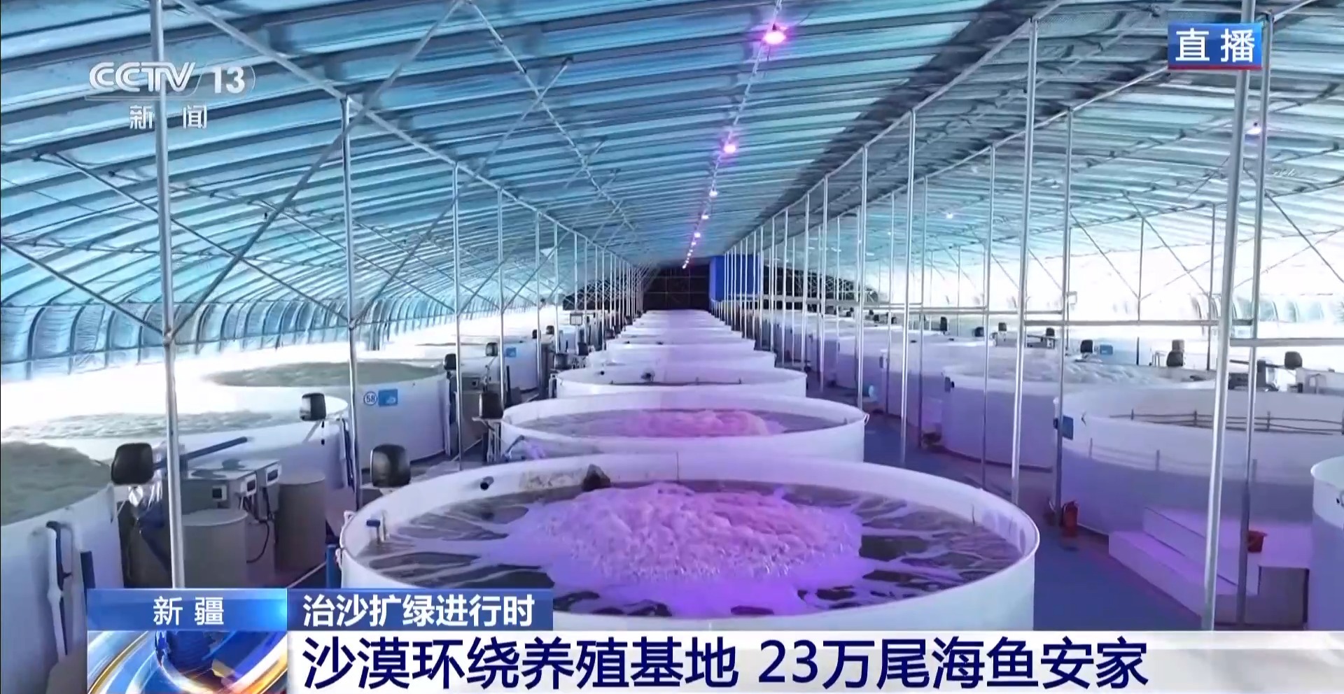 沙漠里如何养海鲜？塔克拉玛干沙漠的水产养殖密码