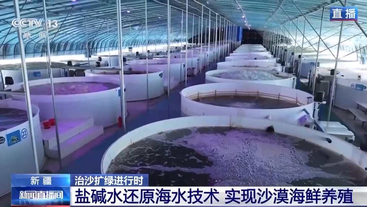 沙漠里如何养海鲜？塔克拉玛干沙漠的水产养殖密码