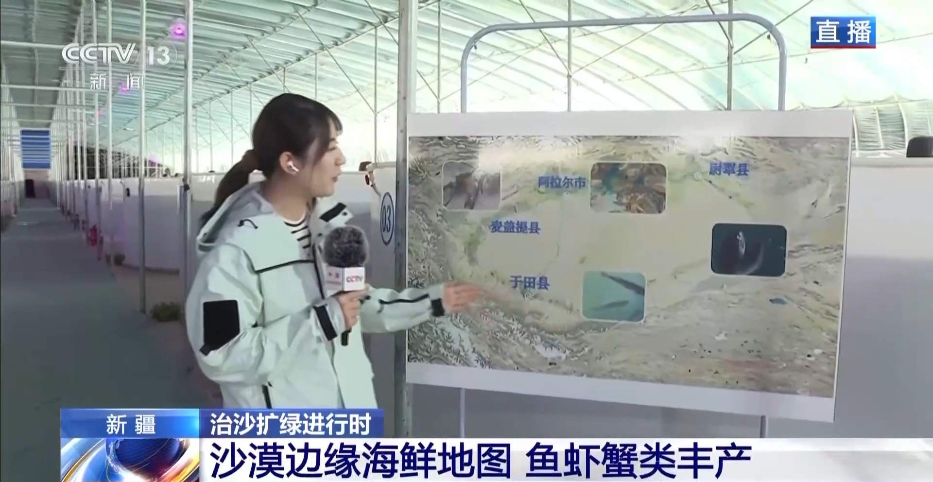 沙漠里如何养海鲜？塔克拉玛干沙漠的水产养殖密码
