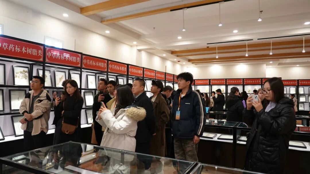 丝路青年相聚霍尔果斯 文化交融织就友谊新篇 丝路青年相聚霍尔果斯 文化交融织就友谊新篇