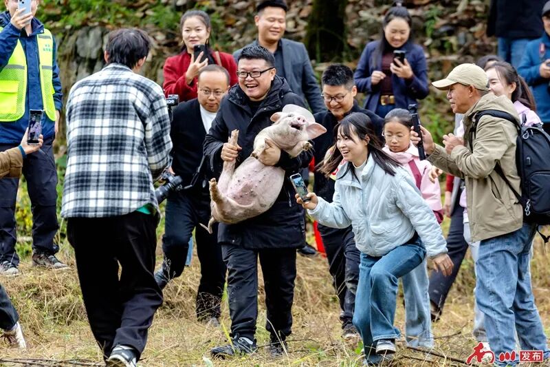 千年银杏下,真的在“长钱”!德隆镇的“金色财富”火出圈了 德隆刨猪汤活动 陆清华_副本.jpg