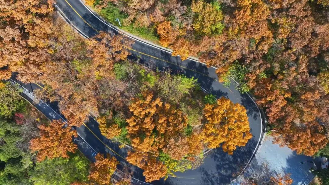 大王叫你来巡山！连云港花果山邀您参加