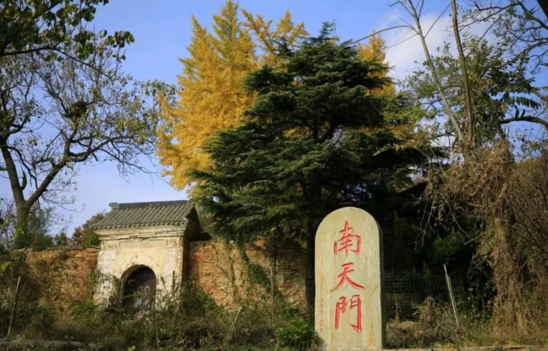 大王叫你来巡山！连云港花果山邀您参加