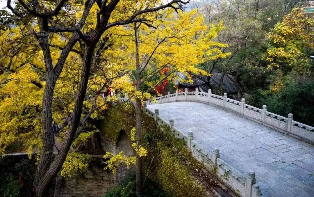 大王叫你来巡山！连云港花果山邀您参加