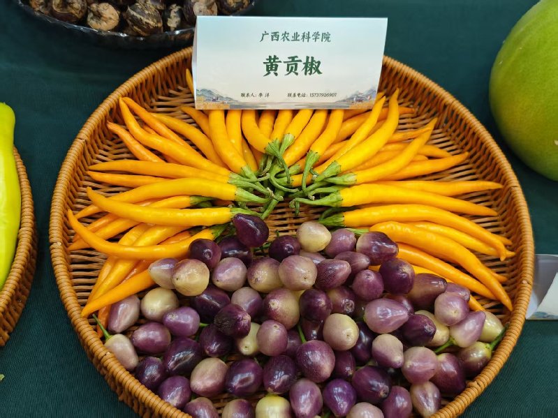 广西“桂字号”蔬菜品牌总值超600亿元