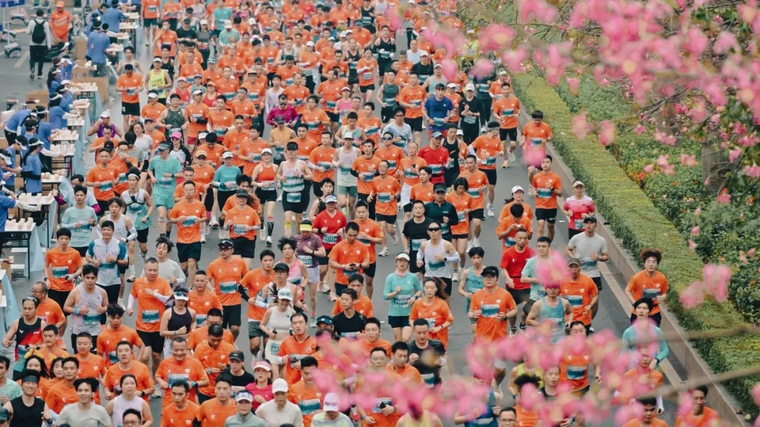 3.6万人竞逐2025南宁马拉松