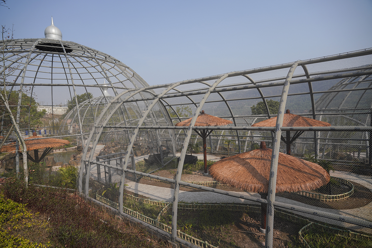 重庆三峡动物园即将建成投用