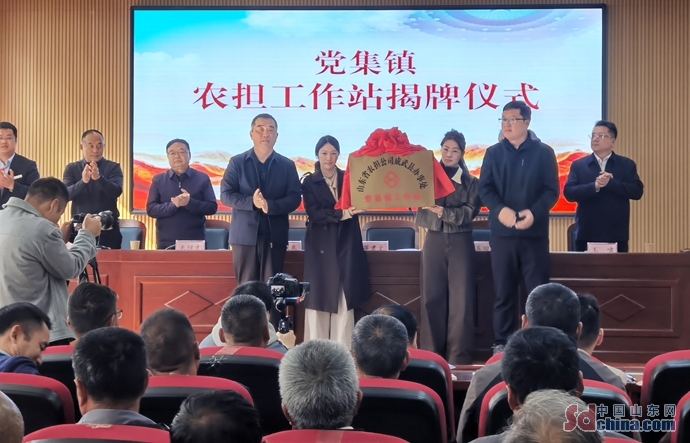 山东农担服务开到“家门口” 菏泽成武农户贷款不再愁 山东农担服务开到“家门口” 菏泽成武农户贷款不再愁