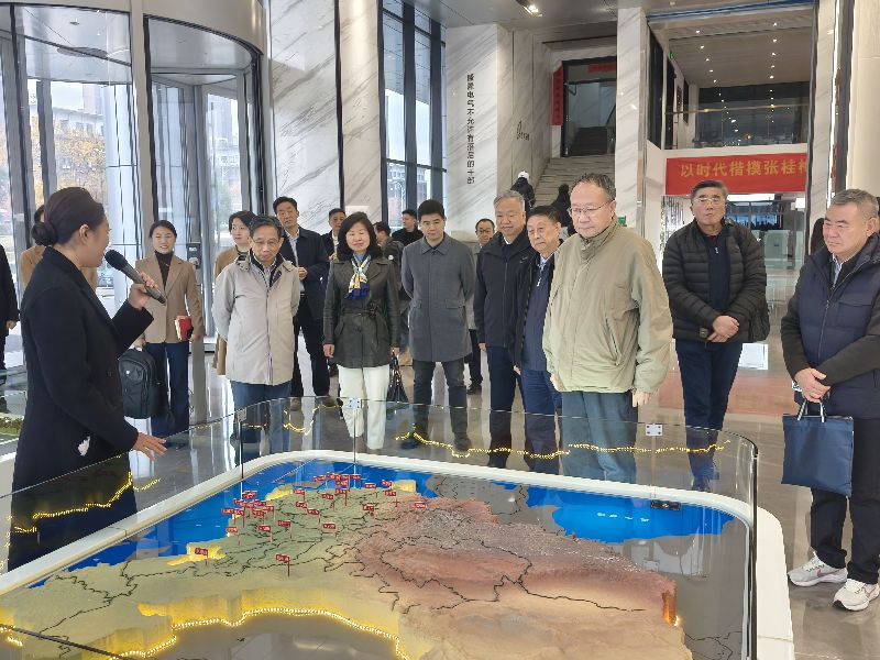 武汉大学老专家助力盛隆电气打造百年企业