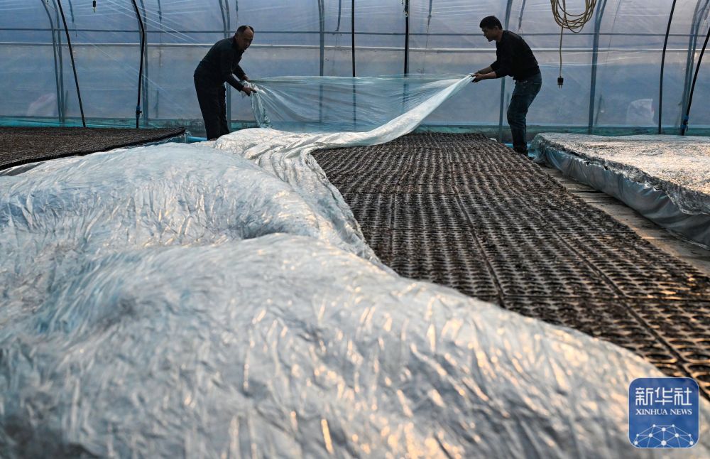 多地积极应对寒潮天气