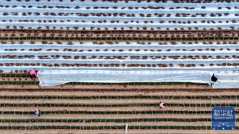 多地积极应对寒潮天气