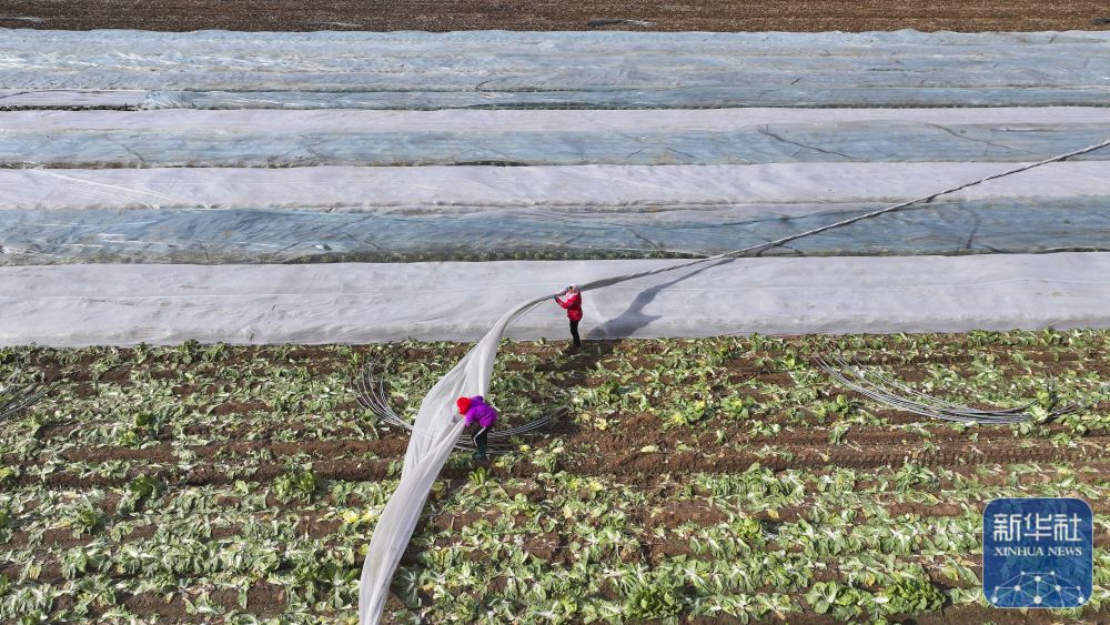 多地积极应对寒潮天气