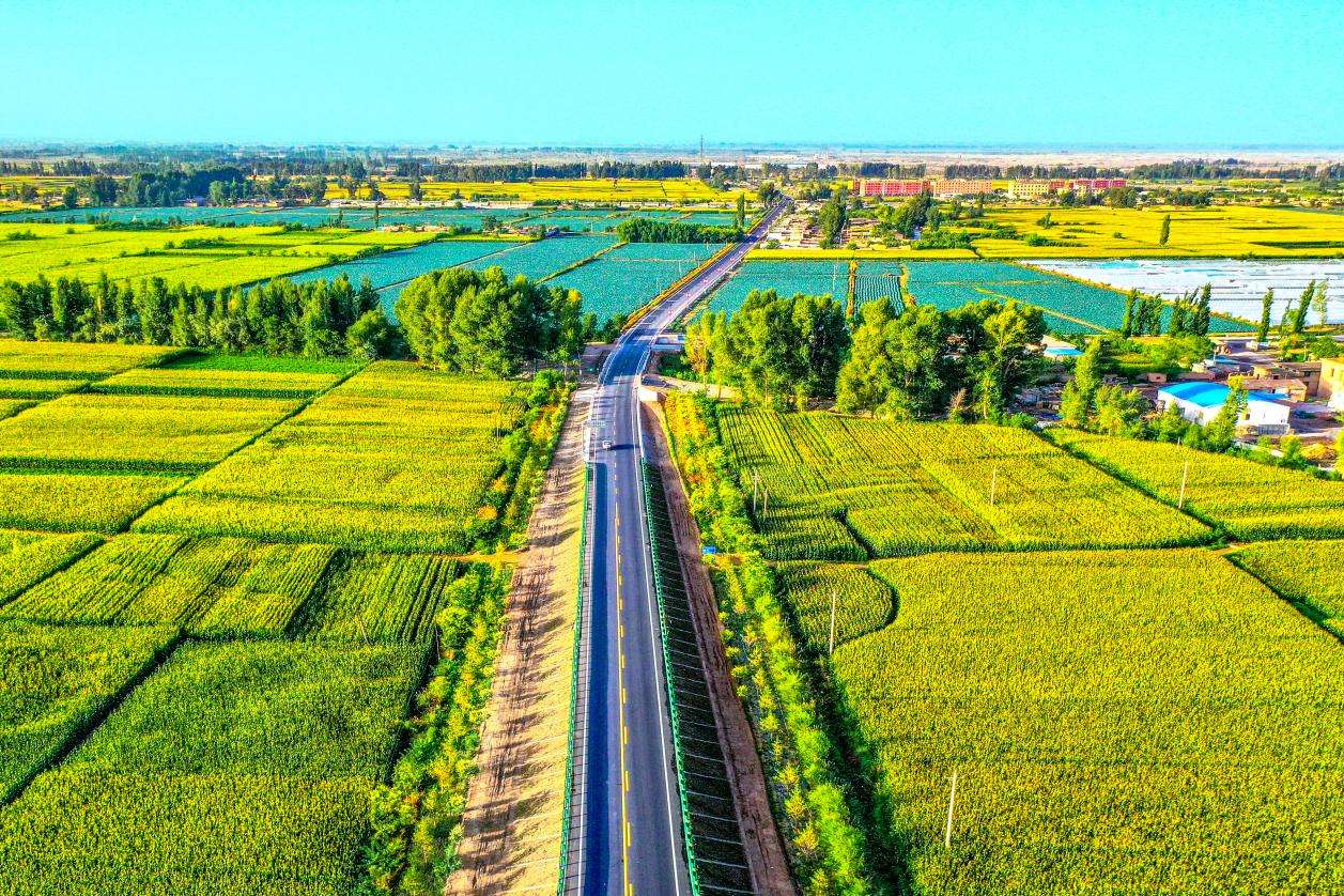 甘肃：“四好农村路”助力和美乡村建设