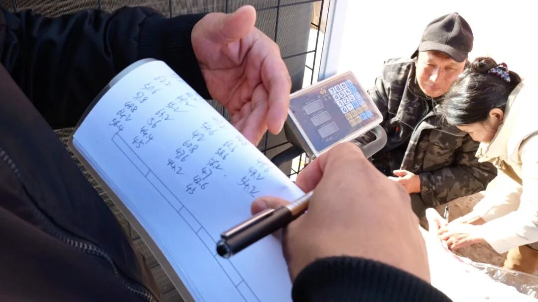 鄂托克旗又一批羊肉运往南京