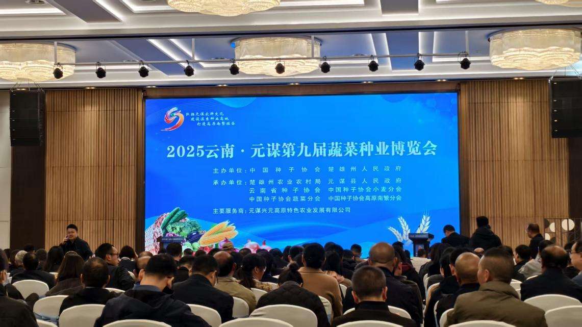 云南元谋：“一粒种子”长成带动共富的“产业硅谷”