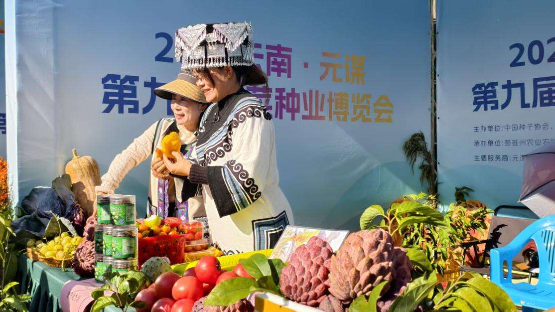 云南元谋：“一粒种子”长成带动共富的“产业硅谷”